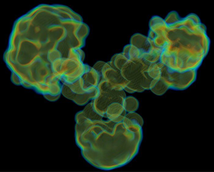 Electron density of a monoclonal antibody
