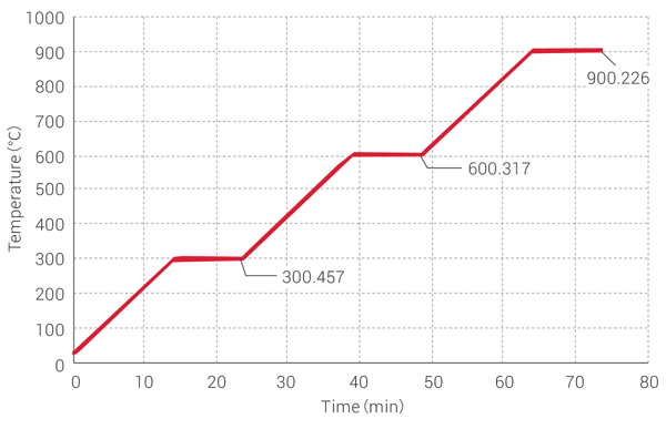 Rapid+AdvanceMode2