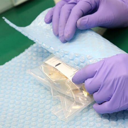 product-special-order-header