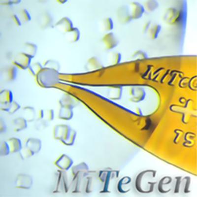 MiTeGen