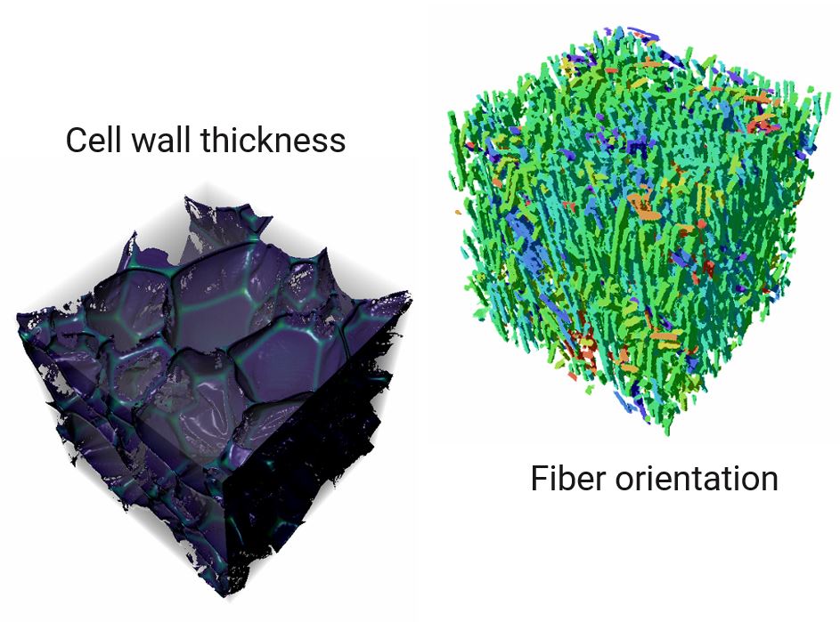 XCT foam foams and composite application category image cell wall and fiber orientation