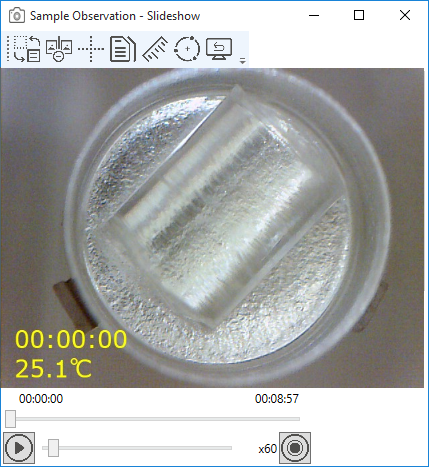 SampleObservationSlideshow