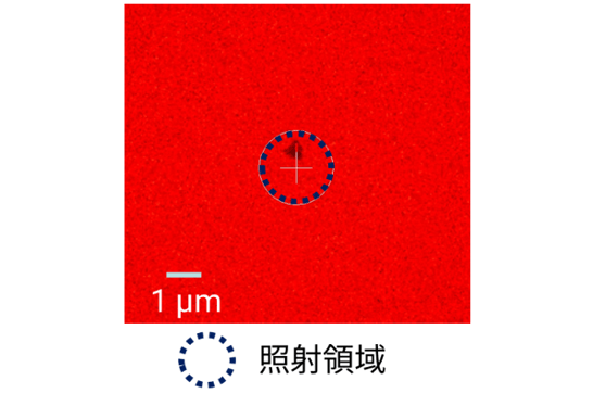 測定対象結晶のTEM像
