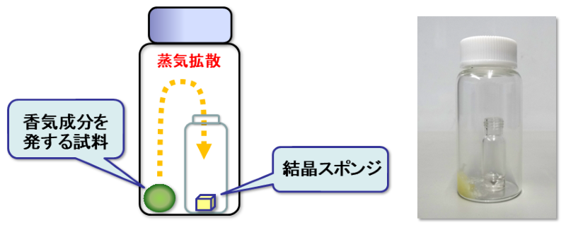 図1: 結晶スポンジへの香気成分の包接