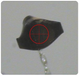 PX019 Figure 1 Catalase crystal