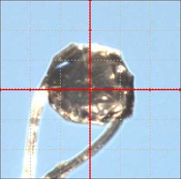 PX030 figure 1