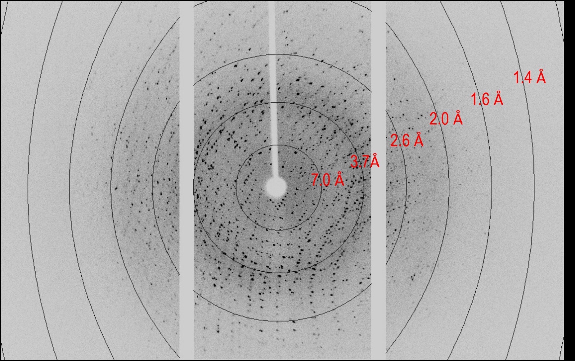 PX030 figure 2