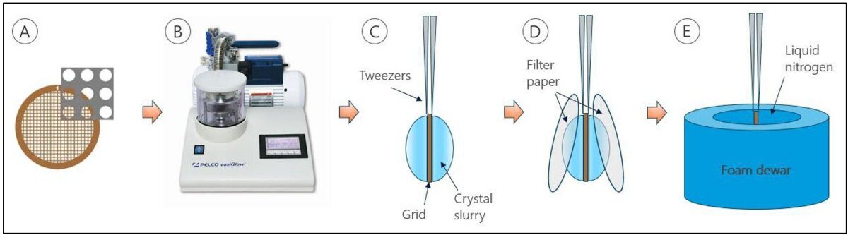 PX041 - Figure 2 - The grid preparation process