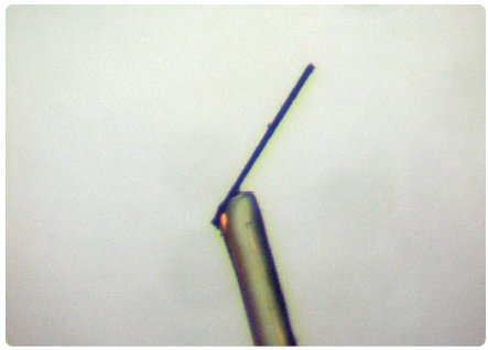 SMX006 Figure 1 Very thin needle crystal mounted on a glass fiber