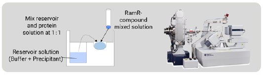 SMX034 Figure 3 Cocrystallization of the RamR compound complex