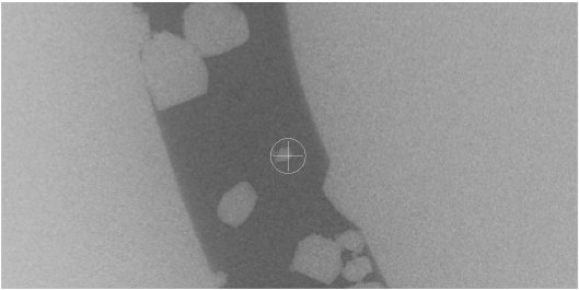 SMX041 Figure 3 The sample grain used