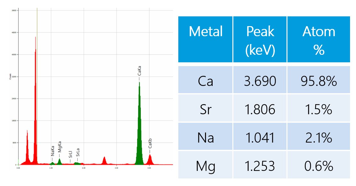 SMX043 Figure 4 - Example of background subtracted EDS spectra and integration results