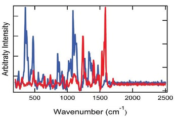 RAD003 Figure 2 Raman spectrum of authentic and counterfeit Cialis tablet cores