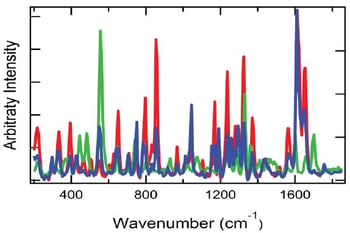 RAD003 Figure 3 Raman spectra of authentic and counterfeit commercial pain relief powders and pure caffeine