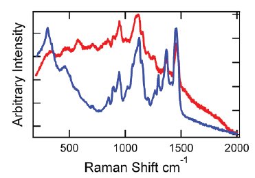 RAD006 Figure 4 Hydroxyproyl methyl cellulose