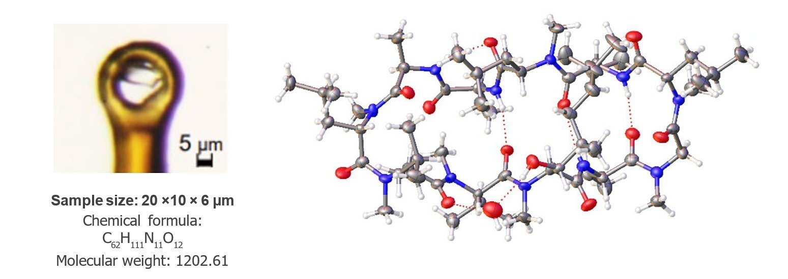PHARM003 - Figure 1 - Microcrystal and structure