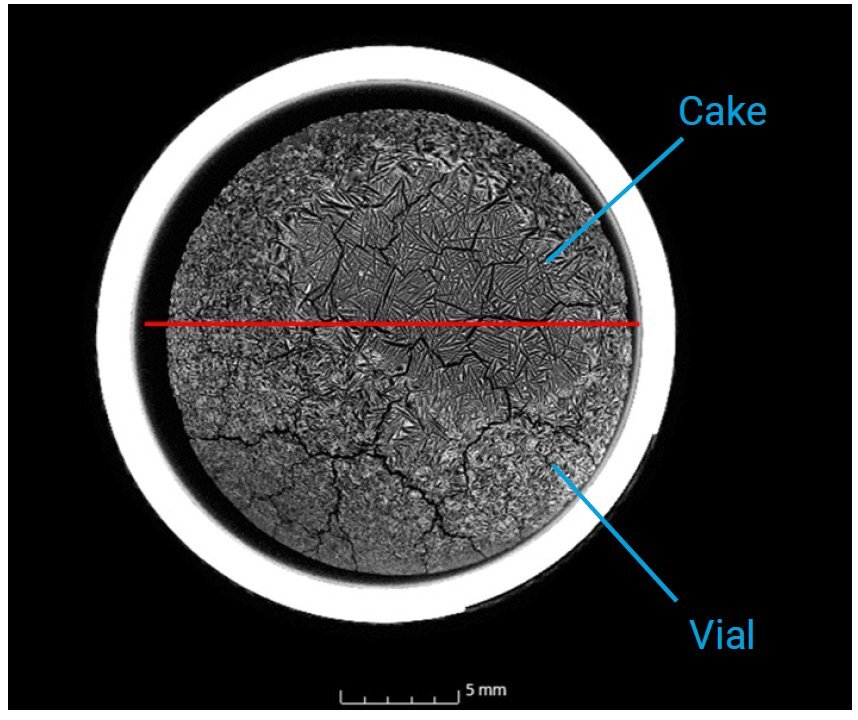 PHARM015 - Figure 1 - Cross section