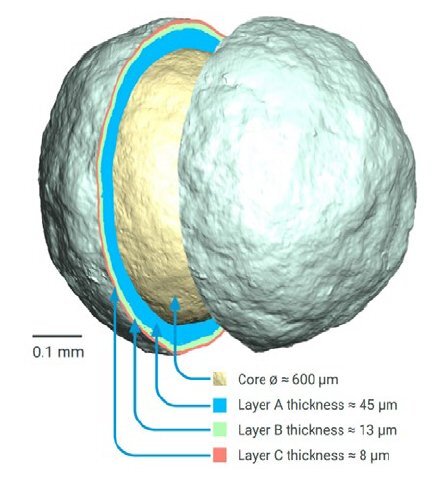 PHARM016 - Figure 1 - Morphological observation-1