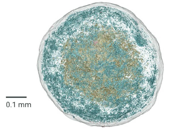 PHARM016 - Figure 2 - Pore distribution-1