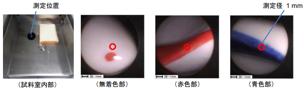 試料観察の様子