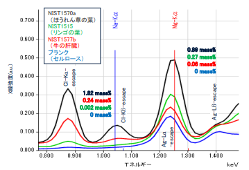 生体試料の定性スペクトル（直接励起型EDX）