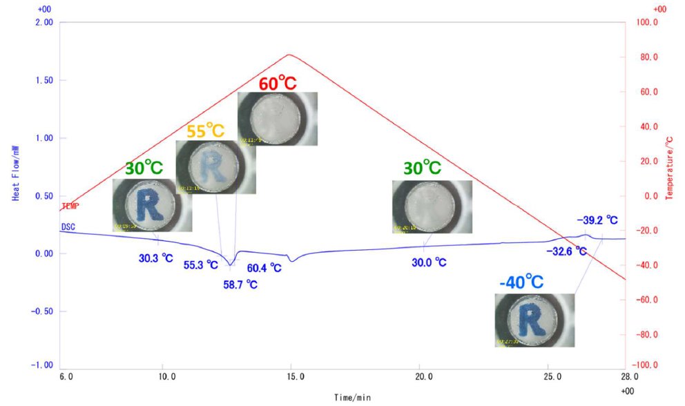 B-TA1007 Figure 1 TG-DTA results and sample observation images 