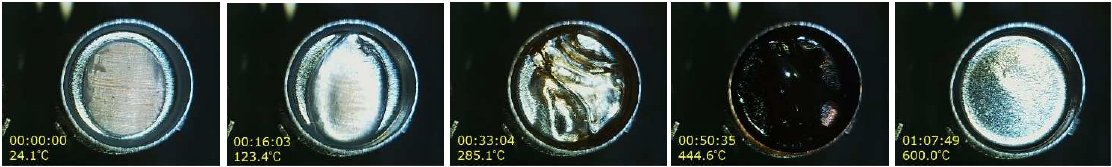 B-TA1015 Figure 2 Sample observation images at different temperature points 