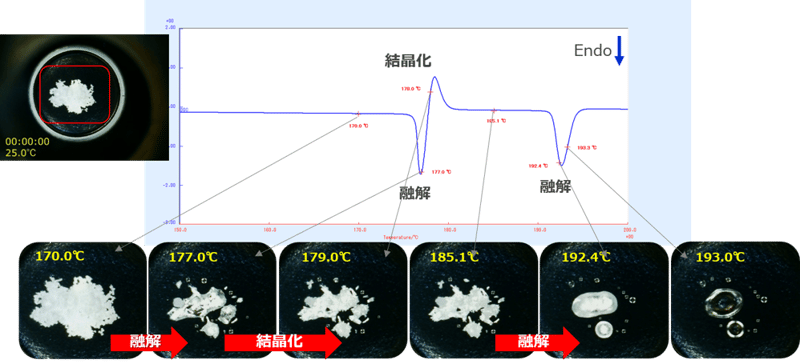B-TA1086_Fig1_試料観察DSCによるイメージ画像の解析