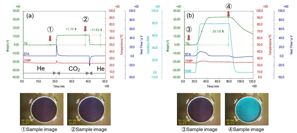TA-1042 Figure 1 Sample observation STA results after sample pretreatment