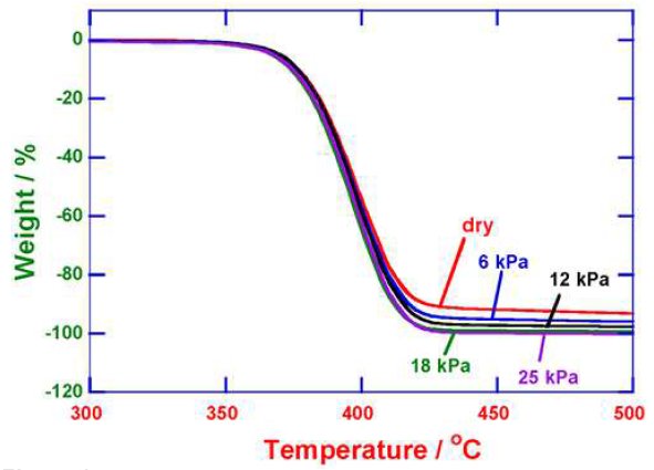 TA-5004 Figure 1 Thermal decomposition of PBT 
