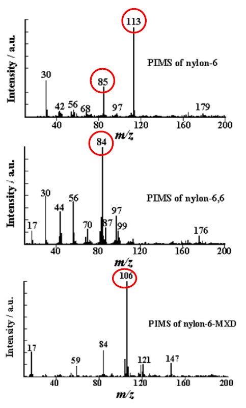 TA-6001 Figure 1b PI mass spectra of various nylons