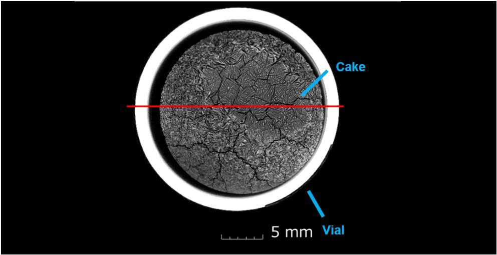 B-XRI1015 Figure 2 Cross-section image of the cake 