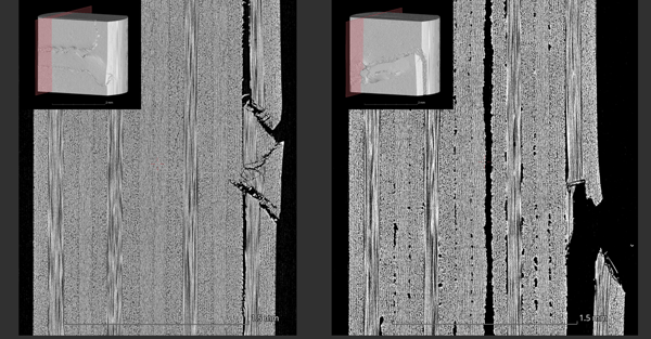 B-XRI1036_Figure3_Cross-sectional image after bending test (Left-CFRP1-Right-CFRP2)