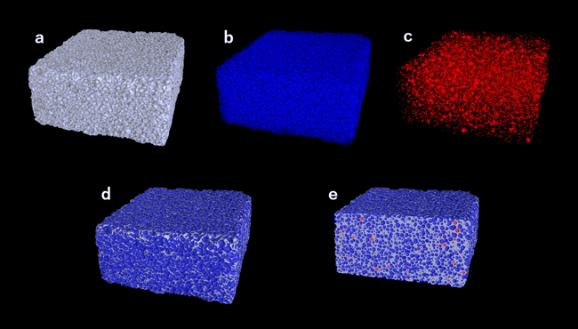 B-XRI1037_図4：セラミックス多孔体の立体画像