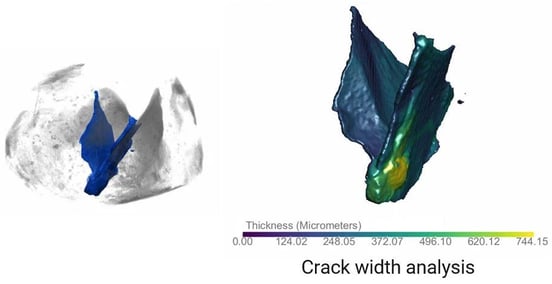 RACCT9016 XCT geology application crack 2-min