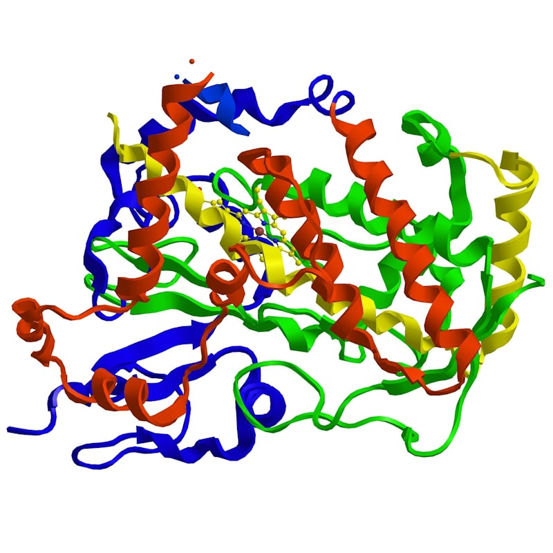 タンパク質結晶構造解析
