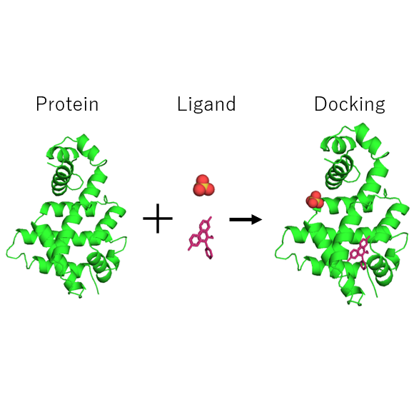 Techniques_Ligand docking