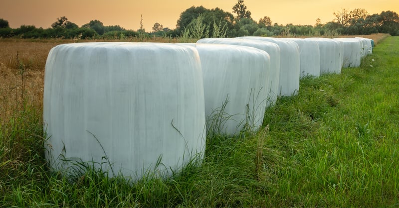 Silage in a field. Read App Note 3226 NEX CG II - Analysis of Nutrients in Silage