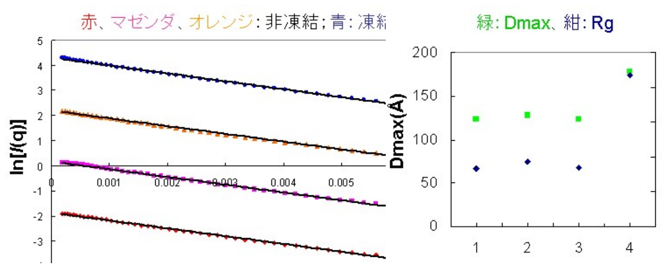 ギニエプロット（左）およびDmax、Rg比較プロット（右）