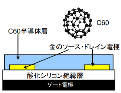 C60FETの構造