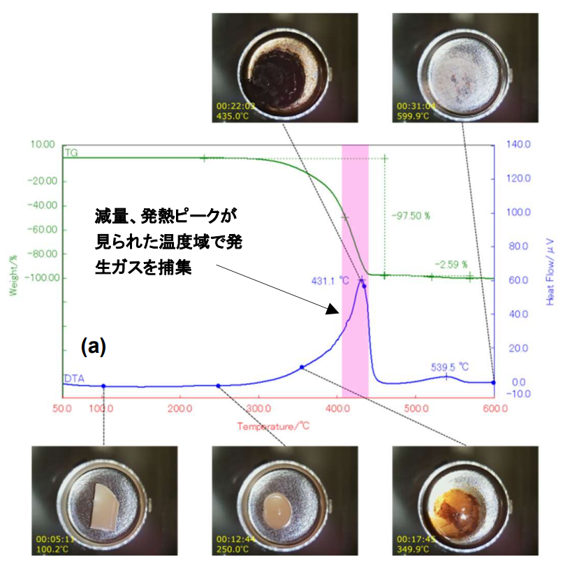 試料観察TG-DTA