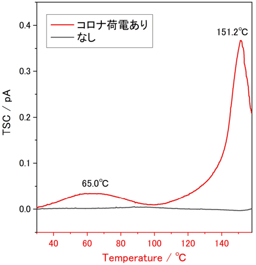 PP不織布のTSC